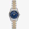 Michael Kors Women’s Mini Lexington Blue Mother-Of-Pearl Dial 26mm MK4865